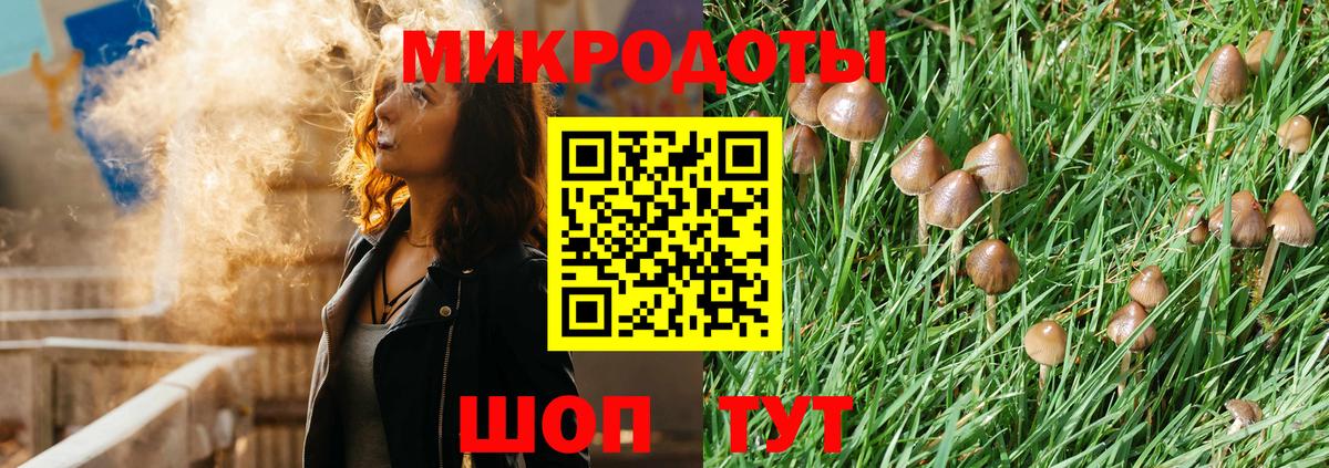 Псилоцибиновые грибы Psilocybine cubensis Печора