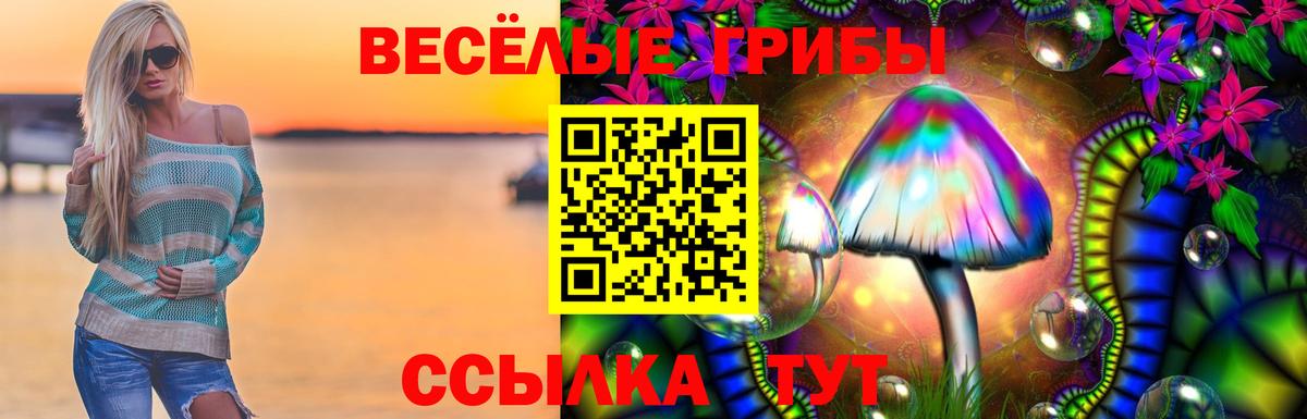 Псилоцибиновые грибы Psilocybe  цена   Галлюциногенные грибы MAGIC MUSHROOMS  Печора  Вход с VPN 